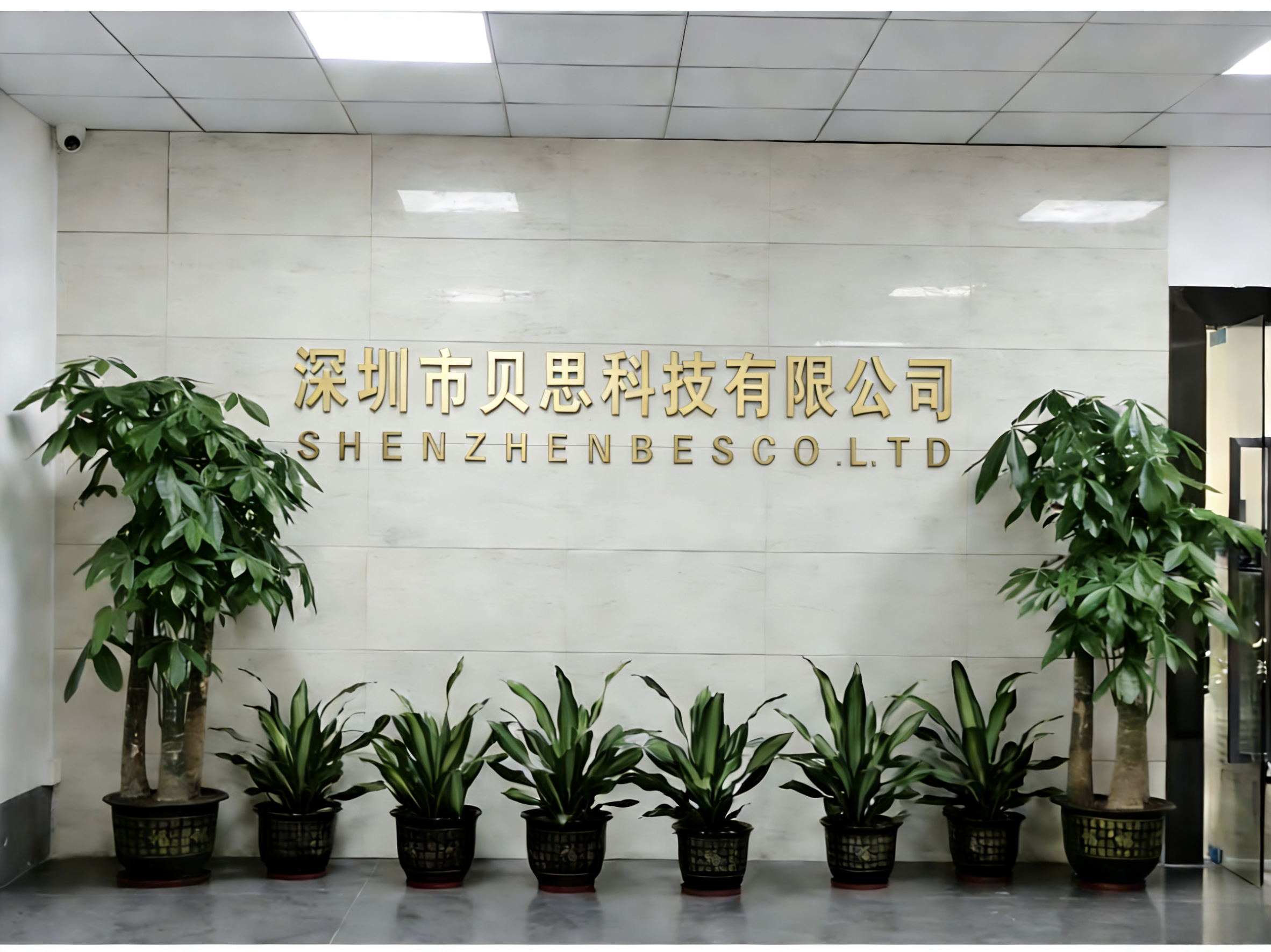 About     Us 关于我们